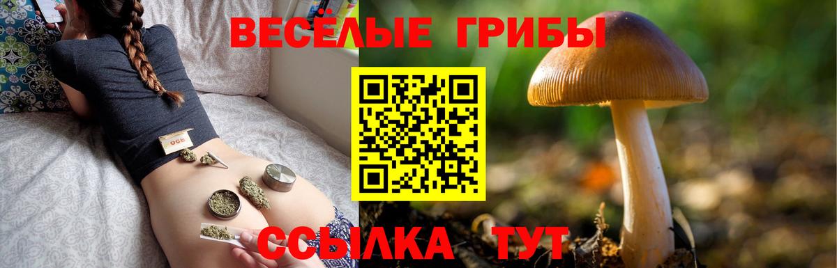 Псилоцибиновые грибы Magic Shrooms Ирбит